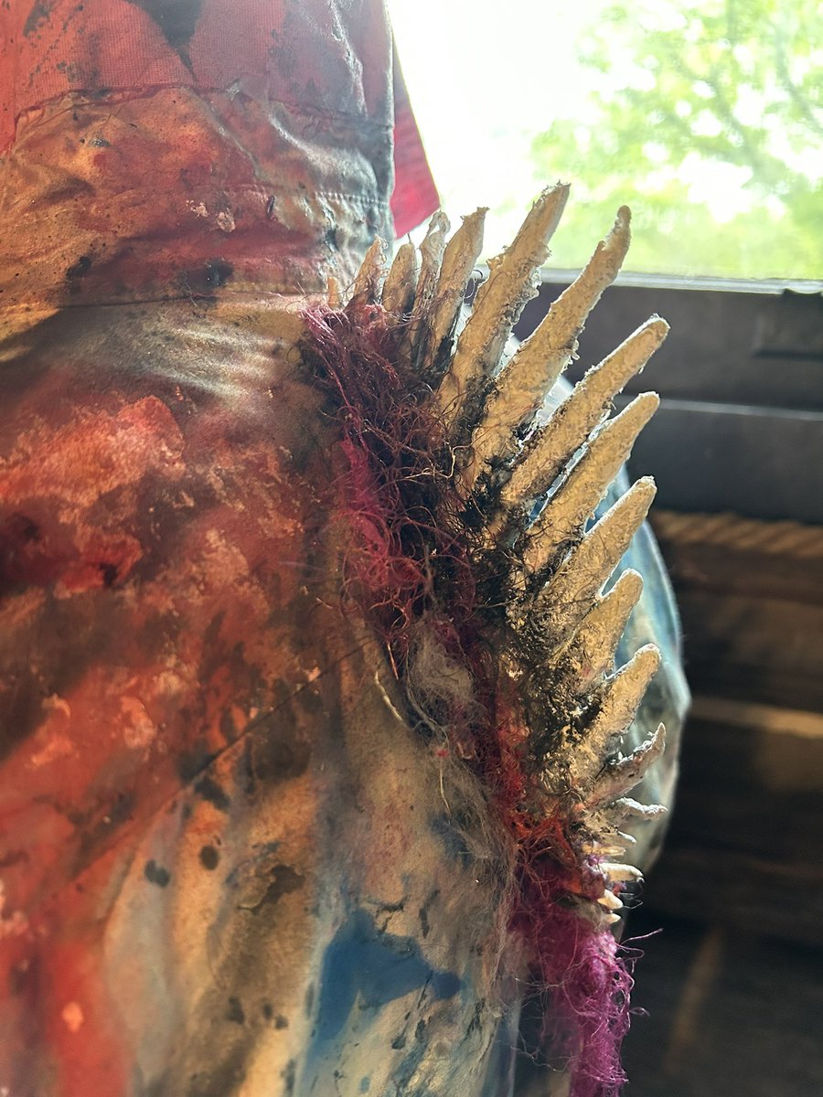 Stegosaurus shirt lol! #spine #prosthetics