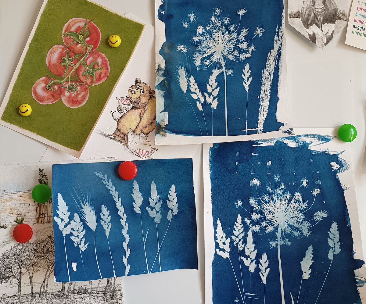 I'm blue da ba dee. Printing with the sun #Cyanotype #botanicalart