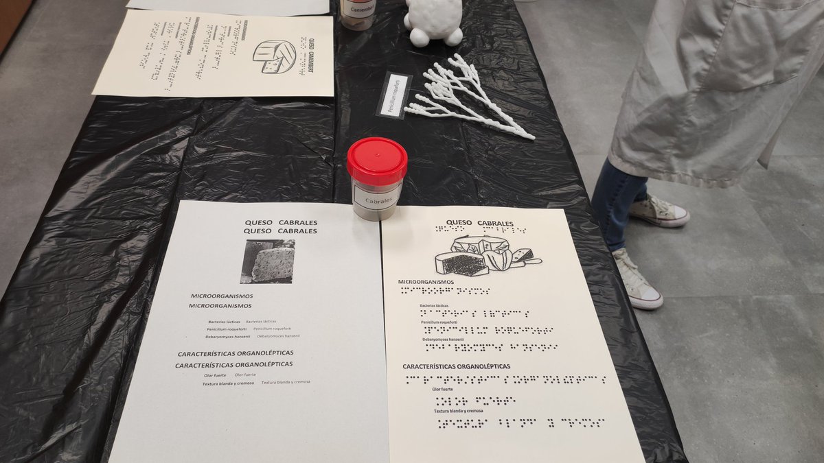 iplacsic's tweet photo. Todo preparado para el taller. La ciencia en tus manos @iplacsic @FECYT_Ciencia @Fundacion_ONCE https://t.co/P4z90KBvOd