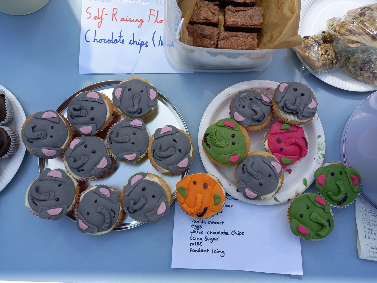 Look at all of these amazing cakes and biscuits made by children and staff at The Bellbird! The Nightingales were inspired to raise money to sponsor an elephant with the WWF after reading the poignant poem 'Elephant Tusks' by Zaro Weil.