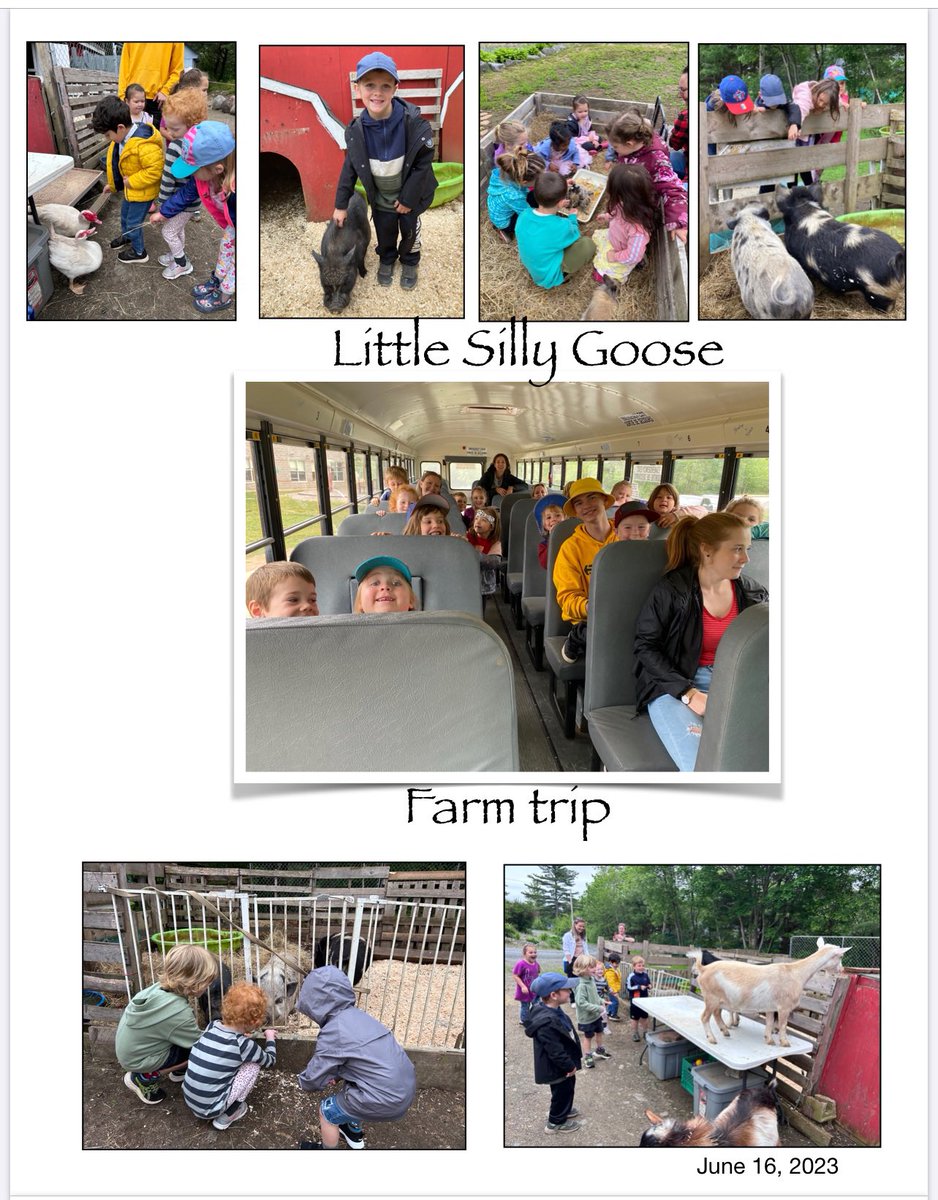 ssrcepreprimary's tweet photo. Our #NSPreprimary class at BCS enjoyed a class trip to the Little Silly Goose farm on Friday 👩‍🌾 🐖🐓🐇🐐 https://t.co/ZHV5qOrxuo