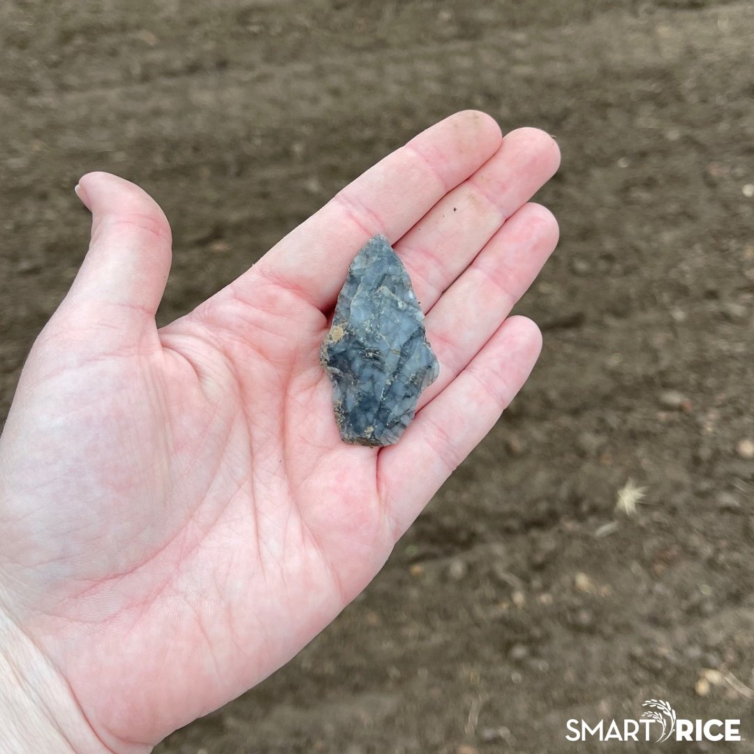 Smart_Rice's tweet image. The Whitaker girls have embraced a cherished family custom of exploring our family farm in search of #NativeAmerican artifacts. After covering miles of ground this year, Jessica and Lesli have proudly discovered their first #arrowheads!

#smartrice #ricefarm #artifacts