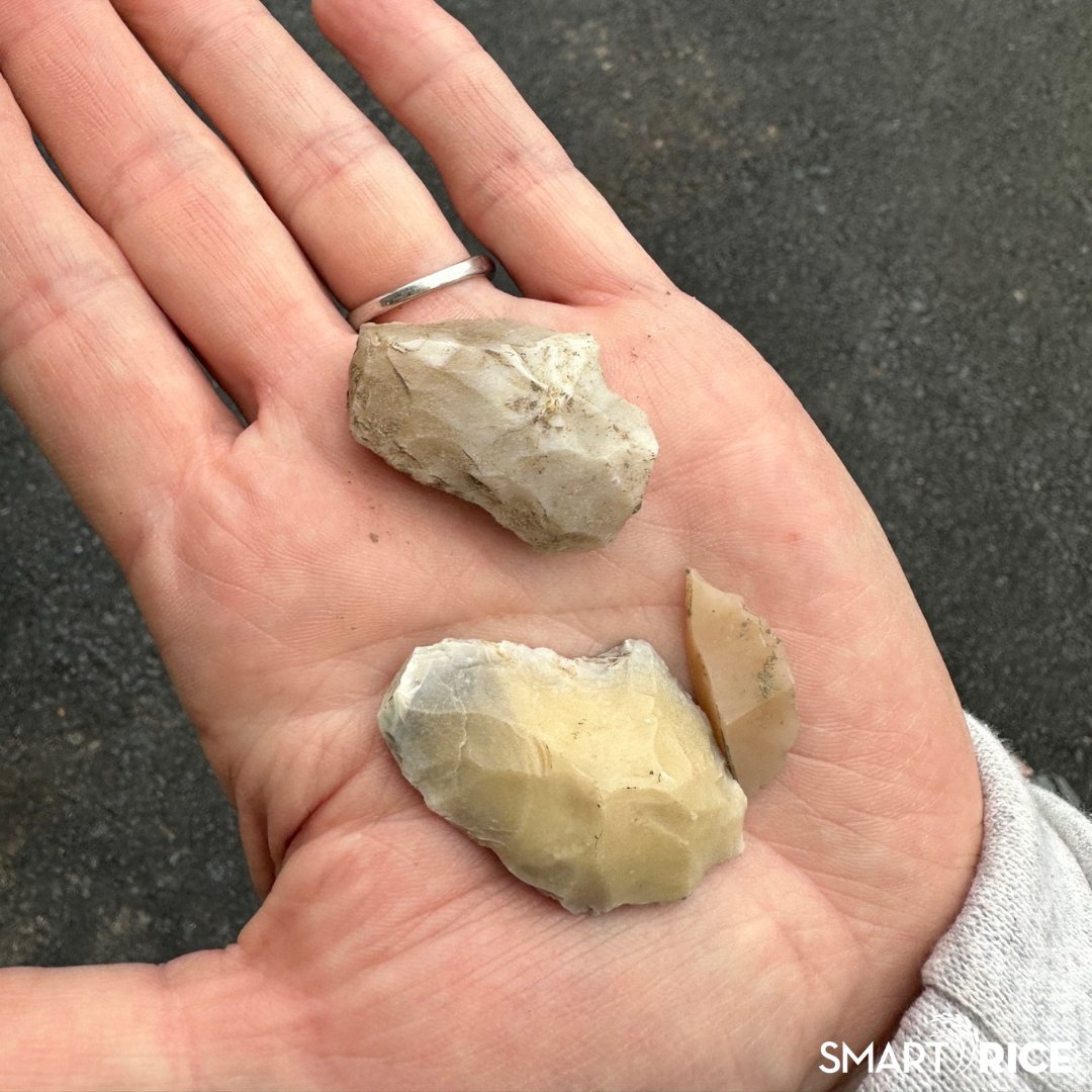 Smart_Rice's tweet image. The Whitaker girls have embraced a cherished family custom of exploring our family farm in search of #NativeAmerican artifacts. After covering miles of ground this year, Jessica and Lesli have proudly discovered their first #arrowheads!

#smartrice #ricefarm #artifacts