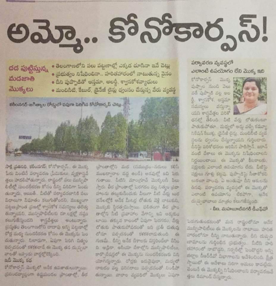 ShyamSunder_BJP's tweet photo. హరిత హారం పేరిట మీరు చేస్తున్నది పర్యావరణ పరిరక్షణ కాదు నిధుల భక్షణ
తక్షణమే అక్కరకు రాని కోనోకార్పస్ మొక్కలు తిసేయించి ఔషద గుణాలు కలిగిన మొక్కలు నాటాలని ప్రభుత్వానికి డిమాండ్ చేస్తున్నాను.
మీరు చేసేది దశాబ్ది ఉత్సవాలు కాదు దశాబ్ది విధ్వంసం.
#Conocorpus
#KCRFailedTelangana https://t.co/maJO9B7Up6