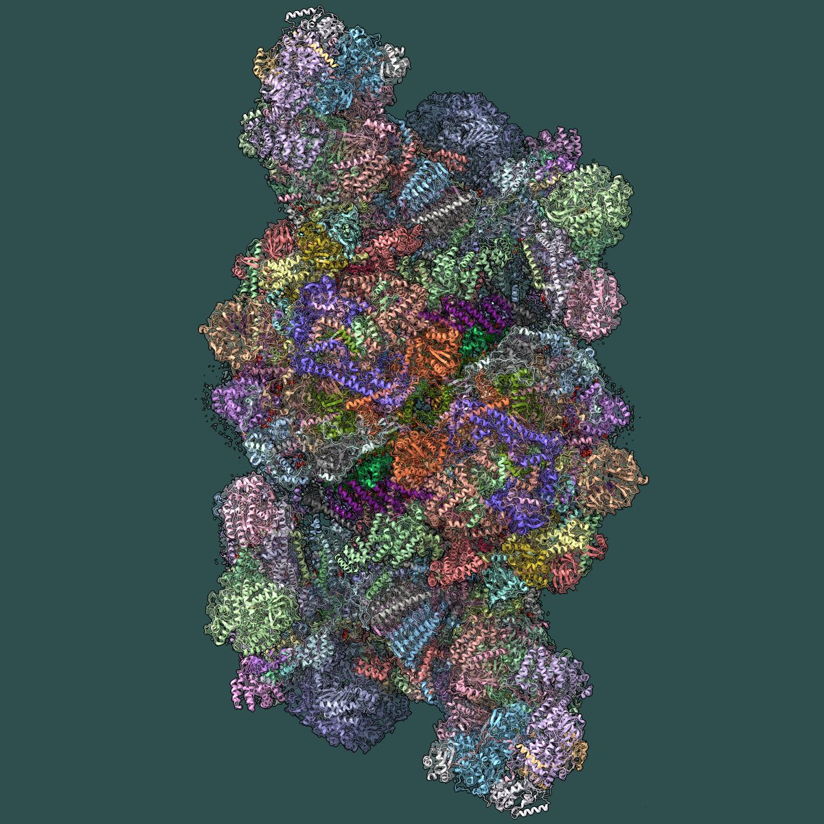 EMDB_EMPIAR's tweet photo. Released @EMDB_EMPIAR &amp; published @NatureComms, the ~8 MDa 3 Å #CryoEM structure of the #respiratory #megacomplex IV2+(I+III2+II)2, furthering our understanding of electron transport chain organisation. Study by Han et al at Zhejiang University.
https://t.co/iwpeZa1Sb4
#EMDB https://t.co/yDn4jSm3ZF