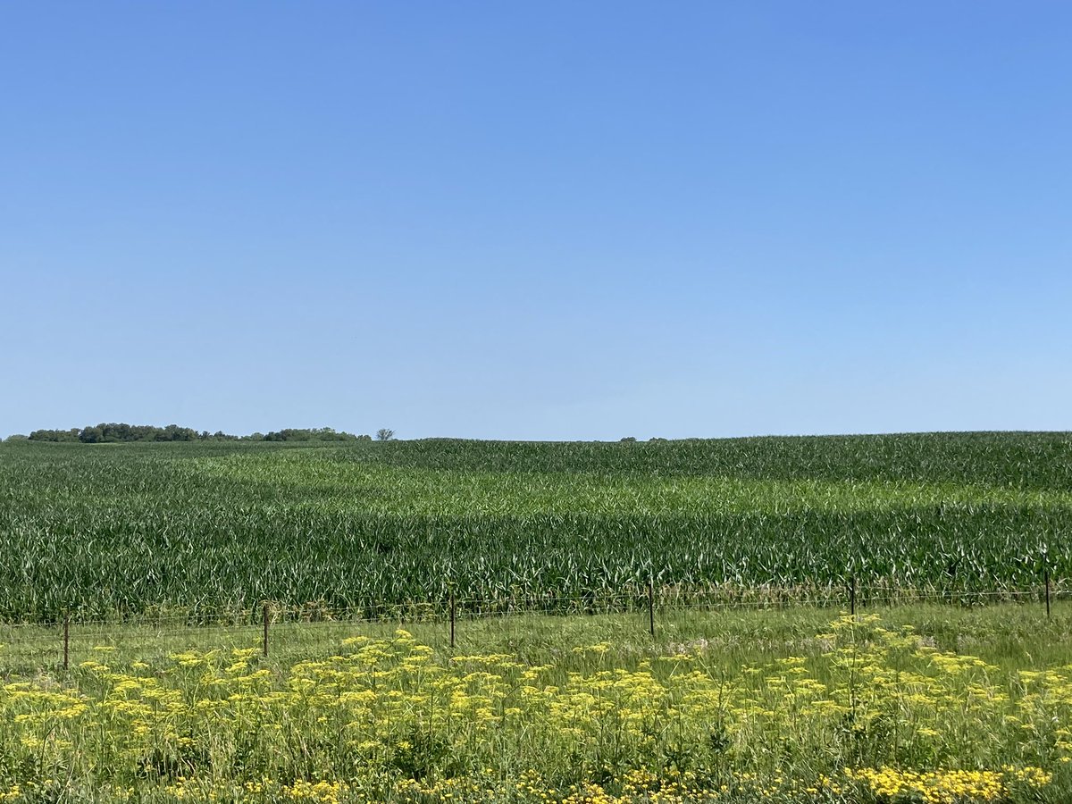 Bob Gunzenhauser tweet media