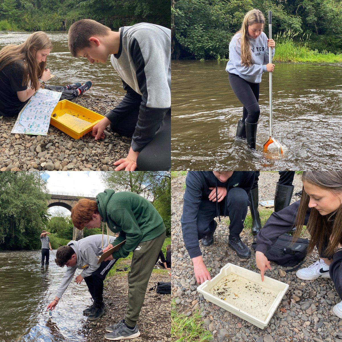 🌍 A superb group of environmental scientists out investigating their local ecosystems today. 🌳 🐛 🍃 A wide range of #biodiversity uncovered while learning how to use the tools of the trade. 💯 👏🏼  <a href="/LHS_Humanities/">LHS Humanities</a>