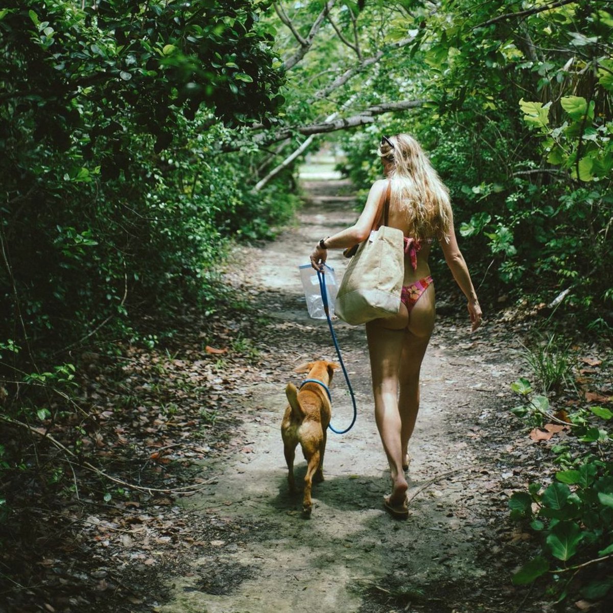 What's not to love about this? Potcake Frankie won the lottery with her momma, Sarah Ann. We love following their adventures!

👑 #weareroyals ✌️❤️🐕

📸 @GreenTurtleClub 

#potcake #dogrescue #animalwelfare #bahamas