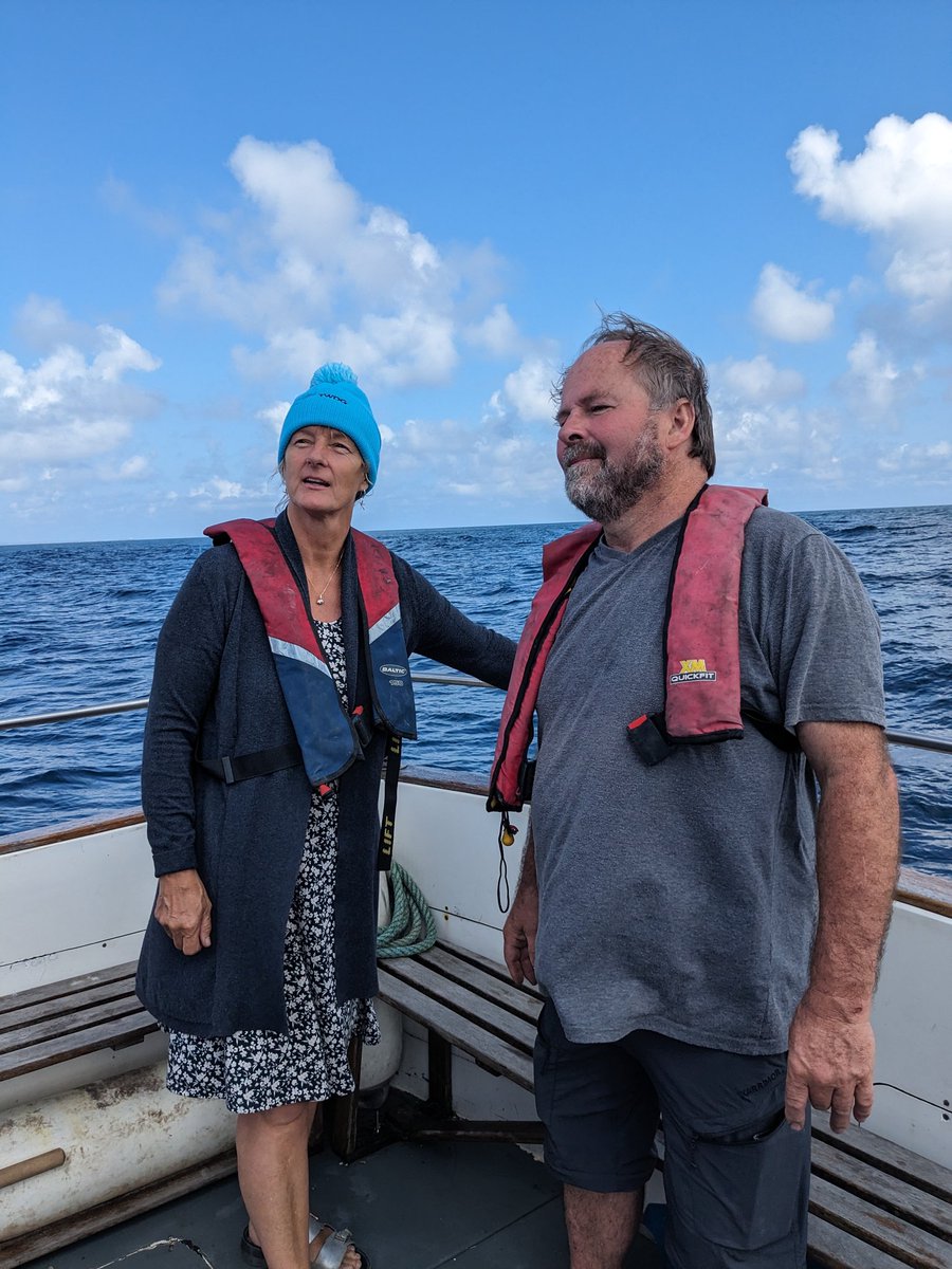 South West Cork Greens tweet media