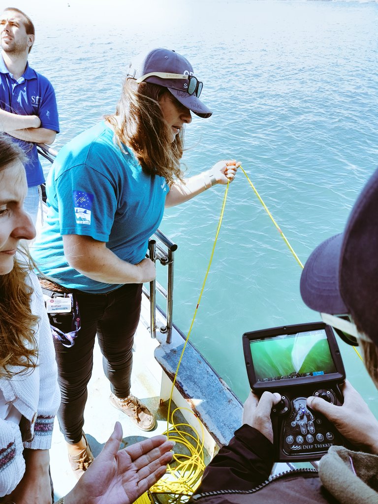 Jean-Luc Solandt (@jeanlucsol) on Twitter photo Explored jennycliff and Cawsand seagrass restoration and Advanced Mooring Systems in Plymouth. With <a href="/EULIFERemedies/">LIFE Recreation ReMEDIES</a> staff <a href="/mcsuk/">Marine Conservation Society</a> colleagues and <a href="/OceanCTrust/">Ocean Conservation Trust</a> ROV operators #seagrass #oceanoptimism Explored jennycliff and Cawsand seagrass restoration and Advanced Mooring Systems in Plymouth. With <a href="/EULIFERemedies/">LIFE Recreation ReMEDIES</a> staff <a href="/mcsuk/">Marine Conservation Society</a> colleagues and <a href="/OceanCTrust/">Ocean Conservation Trust</a> ROV operators #seagrass #oceanoptimism
