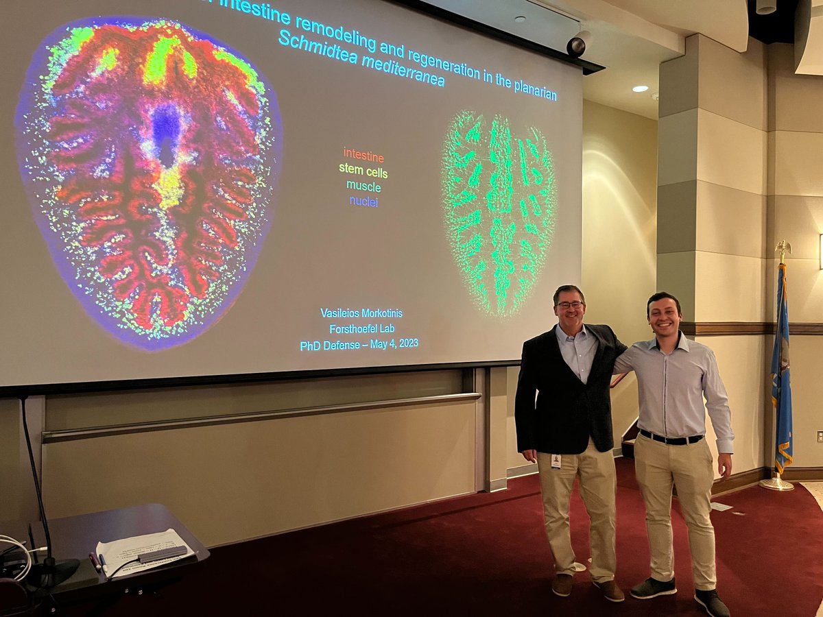 Forsthoefel Lab tweet media