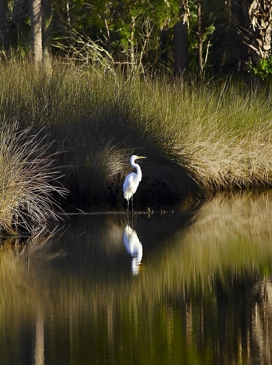 The heron on the lake
Did not stir and make you wake
But by my side I saw you stand
And point to him with your hand
We talked, I listened, I saw you glance
At butterflies flying in a dance
And all at once I saw each wing
Carry you free from suffering
But your smile and love