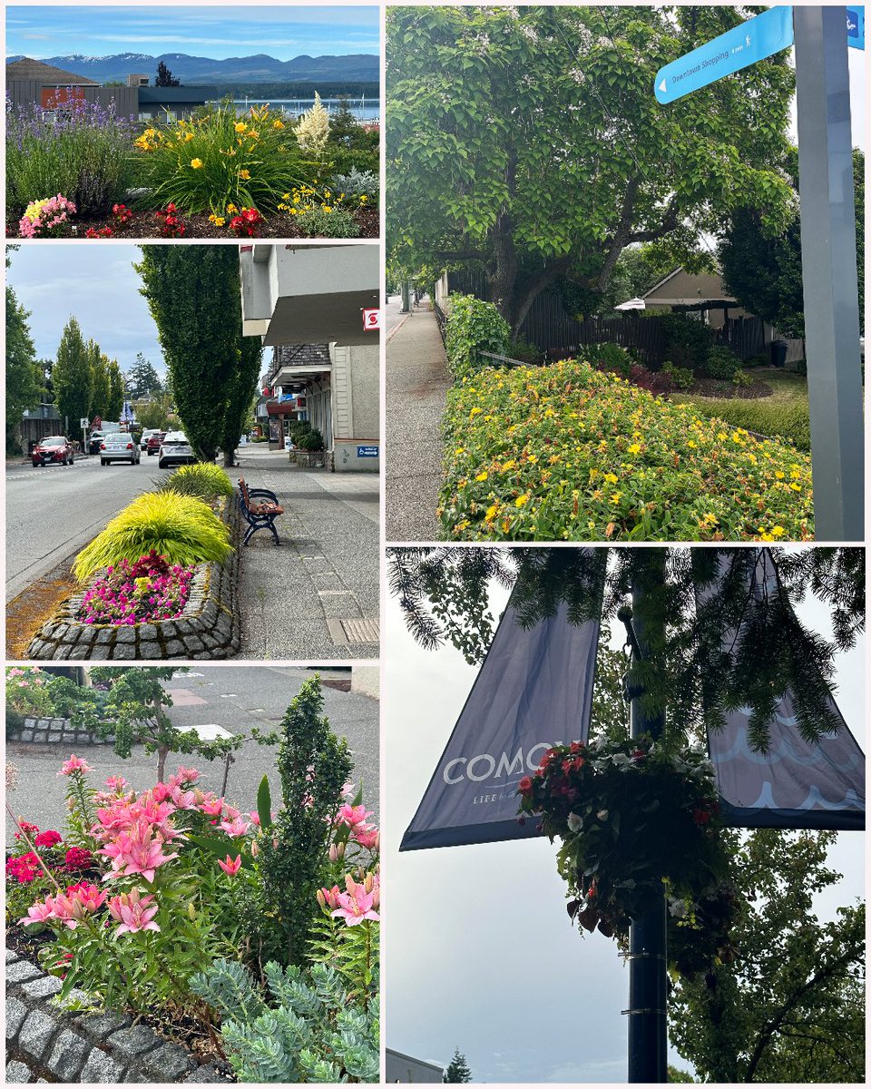 Get ready...Summerfest is coming up this weekend, Saturday, June 24, from 10 a.m. to 5 p.m. This event is a community favourite that brings summer fun to Comox's colourful and vibrant streets.  
For details, visit bit.ly/3Xcks2Y
#comox #comoxsummer #comoxevents