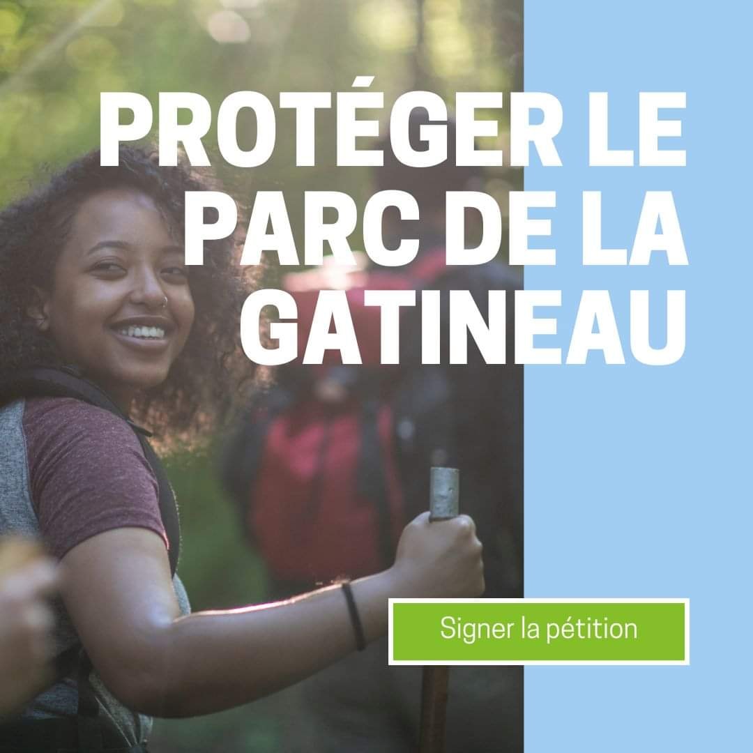 Le parc de la Gatineau abrite 60 espèces animales en voie de disparition. Mais le parc est menacé de développement, ce qui détruirait leur écosystème vital.

Signez la pétition de <a href="/lasnapvo/">SNAP section vallée de l'Outaouais</a> pour protéger leur habitat dès aujourd'hui. petitions.ourcommons.ca/en/Petition/De…
