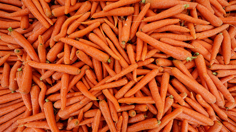 ReporteYa's tweet photo. #19Jun #Mérida 
@Naky: No es sensato que metan preso a un productor por denunciar la pésima distribución de combustible que le imposibilita vender lo que cultivó.

¡Liberen al señor Ysnet Rodríguez! 🥕 https://t.co/QDlB0YMfMl