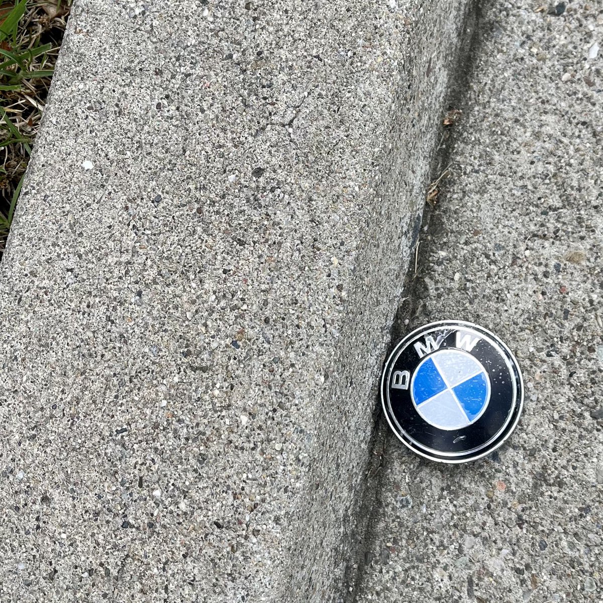 David DeGusta tweet media