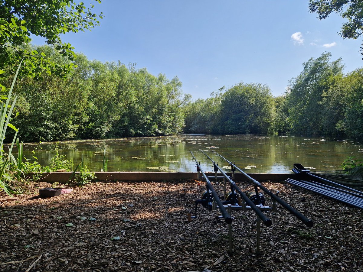 Been a while 🎣😎 come on the carp🙏 🎣🐟😃 #carpfishing #carp #angling #fishing