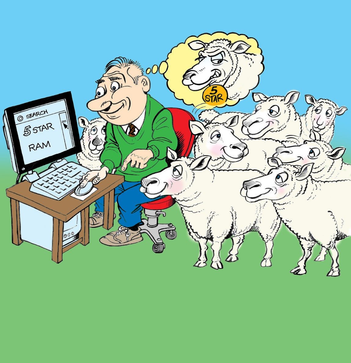 Sheep Ireland 🌟🌟🌟🌟🌟 tweet media