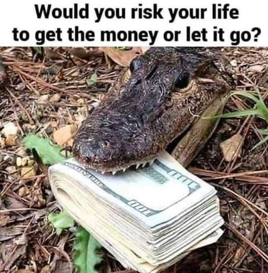 Oh, that stack of benjamin’s are mine bitch! 100%. You? 🤔