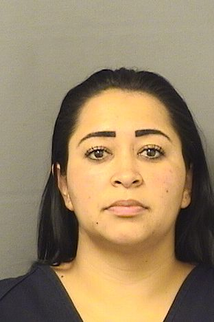 PBSO on Twitter: "Suspects Arrested for Bank Jugging! 💼💰 These two