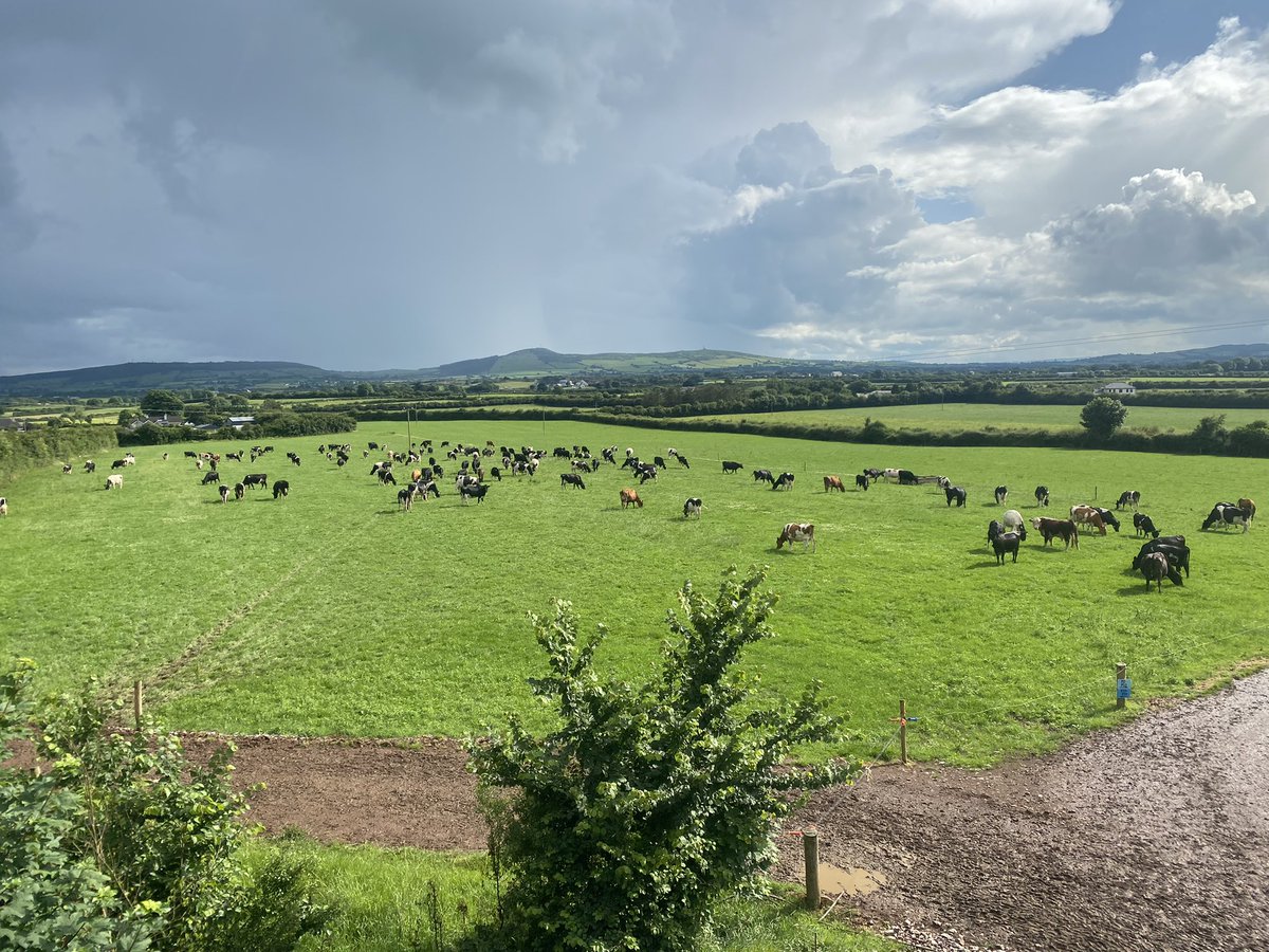 Thomas Reilly tweet media