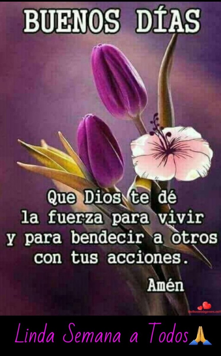 luuccygza's tweet photo. #BuenosDiasATodos ☕️
#FelizLunes 😘
#ProductivaSemana 🙏🍀 https://t.co/Pc0tp8qmsQ