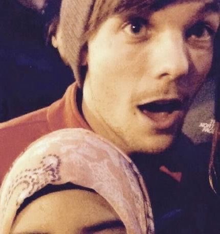 she/her louis (@lwtsheher) on Twitter photo 