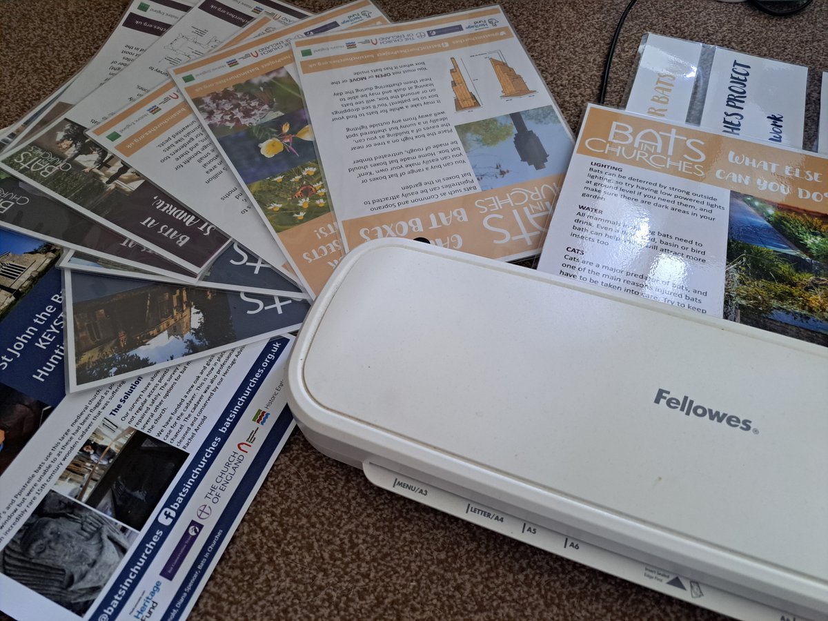 Wild_NEScot's tweet image. Worrying times here as I discover I'm one laminating pouch short of being able to laminate my whole display... #laminating #workproblems #otherdutiesasrequired @BatsinChurches