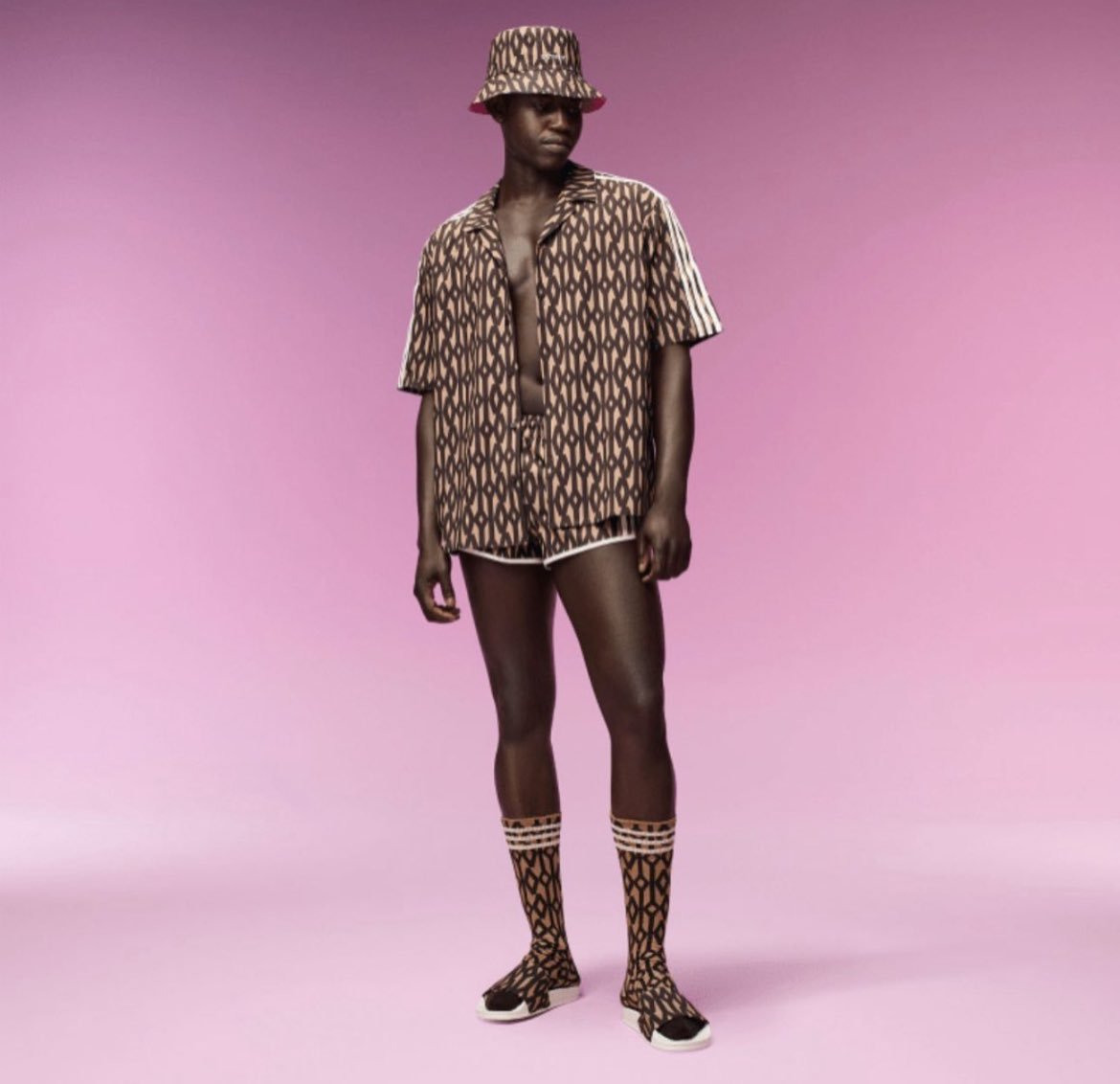 BEYHIVE on Twitter "Nova coleção adidas x IVY PARK IVY PARADISE"