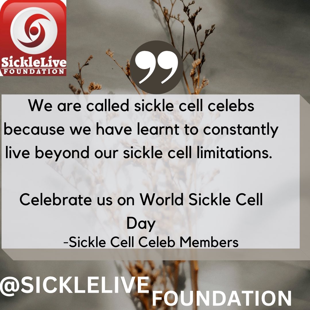 _DABO's tweet photo. WORLD SICKLE CELL DAY…..
It’s our day!
#WorldSickleCellDay
#SickleliveFoundation
#SickleCellDisease
#SickleCell
#SickleCellCelebs
#DrTee
#SickleCellAwareness
#sicklecellanemia https://t.co/v7yY7mJdya