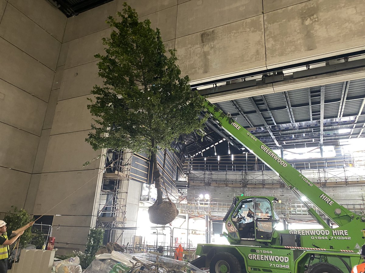 civictrees's tweet photo. This was a great project and very challenging.  #ManchesterInternationalFestival. 
How could we get the tree safe/stable without compromising the artists vision?  Clever guying was how we managed it.

#trees #vision #treeplanting #design https://t.co/3MnjUtfL3p