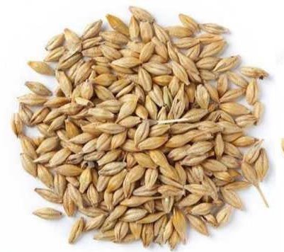 عمو آلفرد tweet media