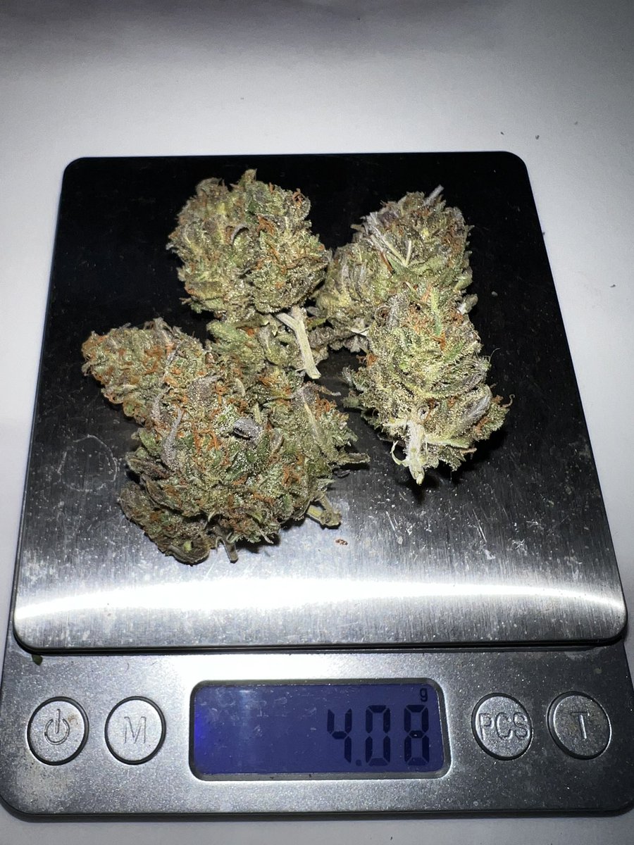 TheJoe420weed's tweet photo. รีทวิต=สุ่มแจกจริงๆ โพสสำหรับลูกเพจ ใครที่รีทวิตใว้ มารับรางวัลครับ ๆ ในไลท์เลยครับ #กัญชา #ขายกัญชา #og #กัญชารังสิต #กัญชากรุงเทพ #กัญชาปทุม #กัญชาคลอง1 #กัญชาดอนเมือง #กัญชานนทบุรี #กัญชาเมืองเอก #กัญชาเมืองทอง #กัญชาปากเกร็ด #กัญชาพระราม5 #กัญชาราคาส่ง #weedthaitand #สายเขียว https://t.co/Zvbz4ZKGxj