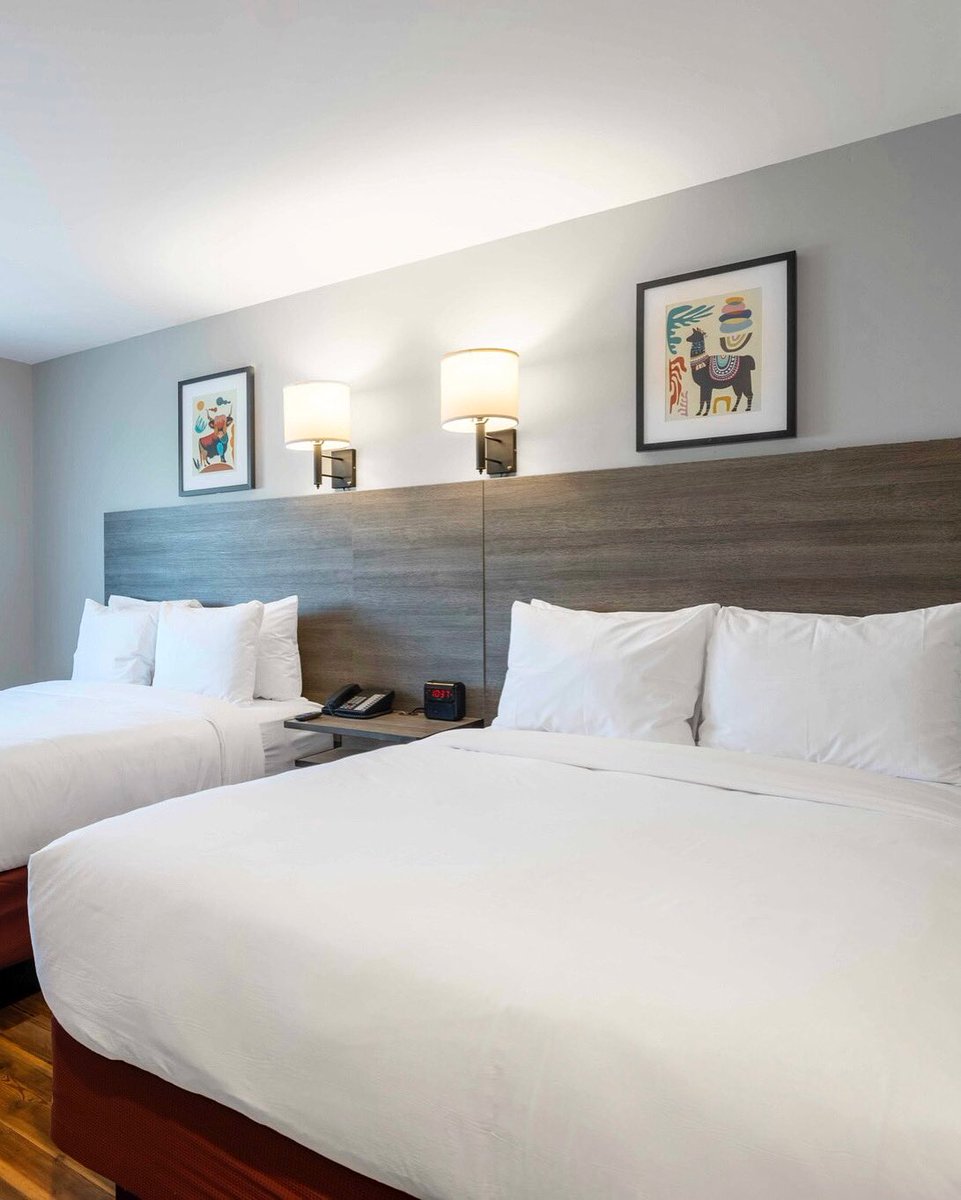 TheLodgeRedHook's tweet photo. Rise &amp; shine!🌞🛏️

#brooklynhotel #newyorksummer https://t.co/lFVhTxluVg