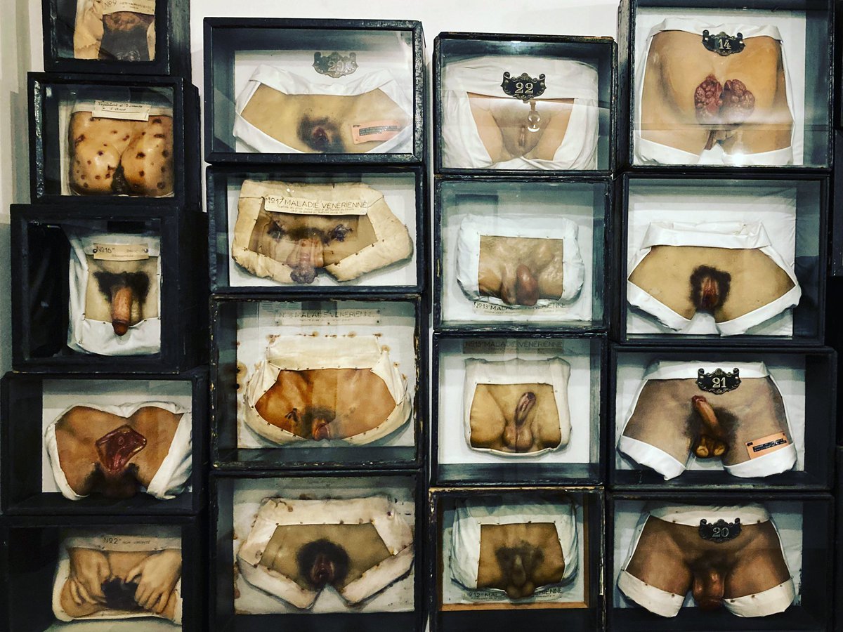 Cat Irving tweet media