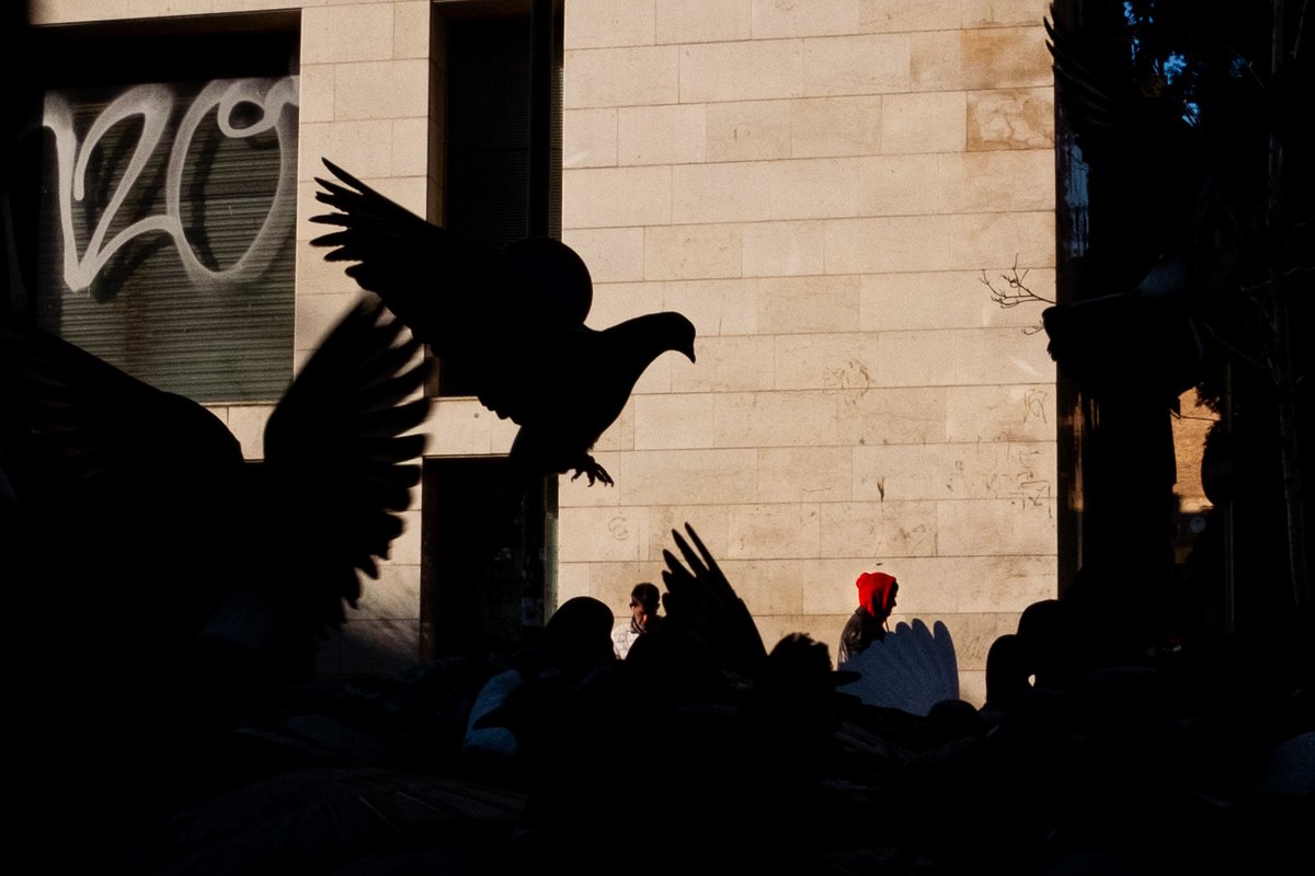 Look how my week started! 🎉🎉🎉🎉

Thank you so much <a href="/CryptoPopPunk/">Pop Punk</a> for collecting one of the 10 editions of “The Red Hood” on <a href="/objktcom/">objkt.com</a> 

Ed 10 x 22 XTZ 

Hope you had a great start of the week as well. 🙏🏻🙏🏻🙏🏻🙏🏻

#tezos 
#streetphotographyisgold 

objkt.com/asset/KT1LwZYV…