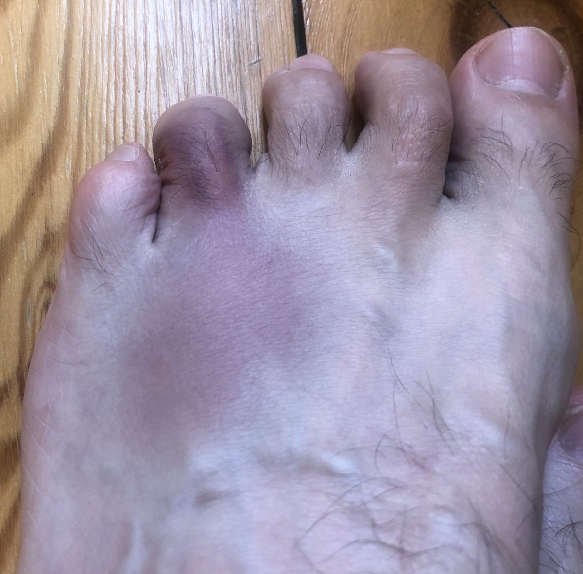 swisslet tweet media