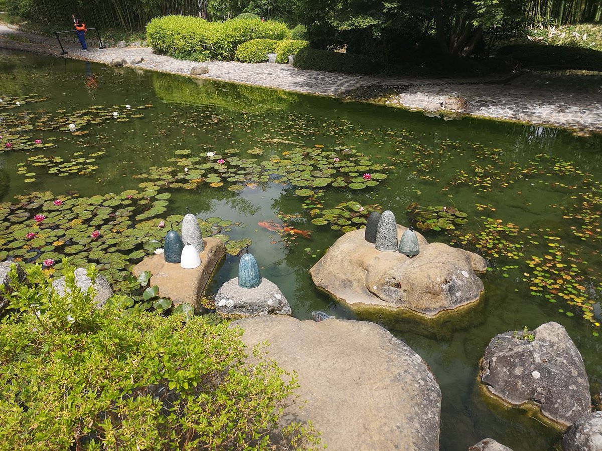 parisfriendly's tweet photo. Entrée gratuite pour le magnifique Jardin Albert-Kahn 
✏️ Dimanche 6 août et dimanche 3 septembre de 11h à 17h30 
✔️ AVEC réservation  
📍   Jardin Albert-Kahn, 1 rue des Abondances 92100 Boulogne Billancourt 
❤️ https://t.co/FOUUHdNgtV
#albertkhan #jardin @museealbertkahn https://t.co/A8I3nVitba