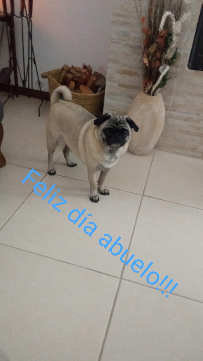 martinezmendit2's tweet photo. "Que este día tan especial te brinde amor y alegría". https://t.co/lGF3zpM17A