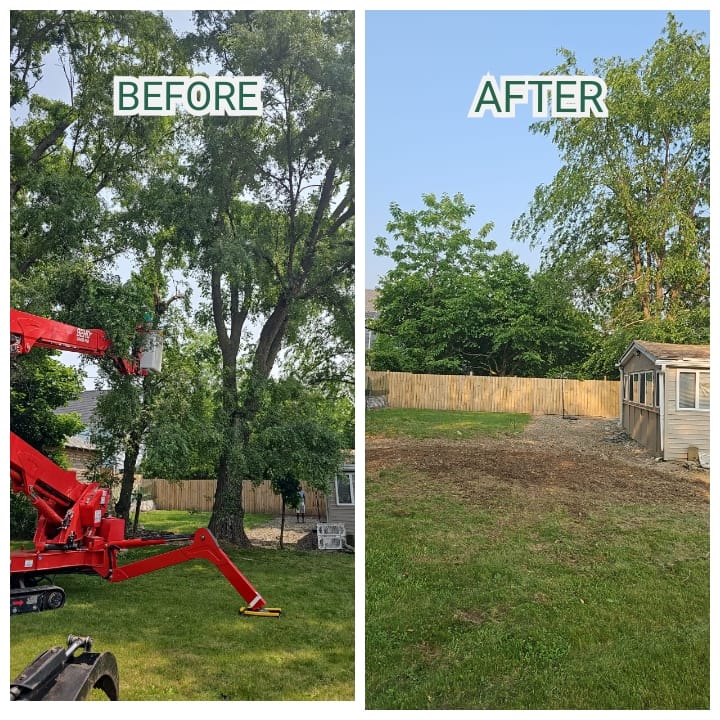 Skip the DIY tree removal work and call KD team to haul down a tree on your property
#kdtreeservicesyracuse #treecare #treeservice #treecutting #treeremovalexperts #treeremovals #treeremoval #beforeandafter