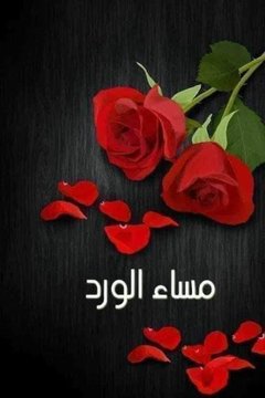 Esraa__51's tweet photo. @PANORaAlhsref البنوووره ♥️
الجميله 💕
غاليتي 💐
اللهم امين يارب العالمين
اللهم تقبل منا ومنكم صالح
 الأعمال الصالحة هنووووووو
ياااااااارب تقبل يالبنوووره أجمل
 وارق اختك لا اسراء البنوووره الجميله 🙏🌸🌴 https://t.co/jEZYx1VtSY