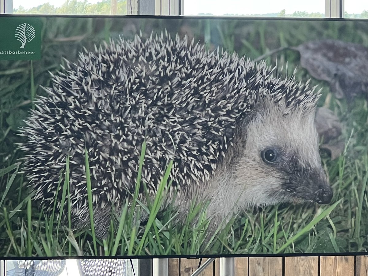 Oproep door spreker Harry Boeschoten van <a href="/staatsbosbeheer/">Staatsbosbeheer</a> tijdens NPHD netwerkbijeenkomst: bekijk het landschap door de ogen van mens én dier. #bufferzone #verbindingen #barrièresslechten