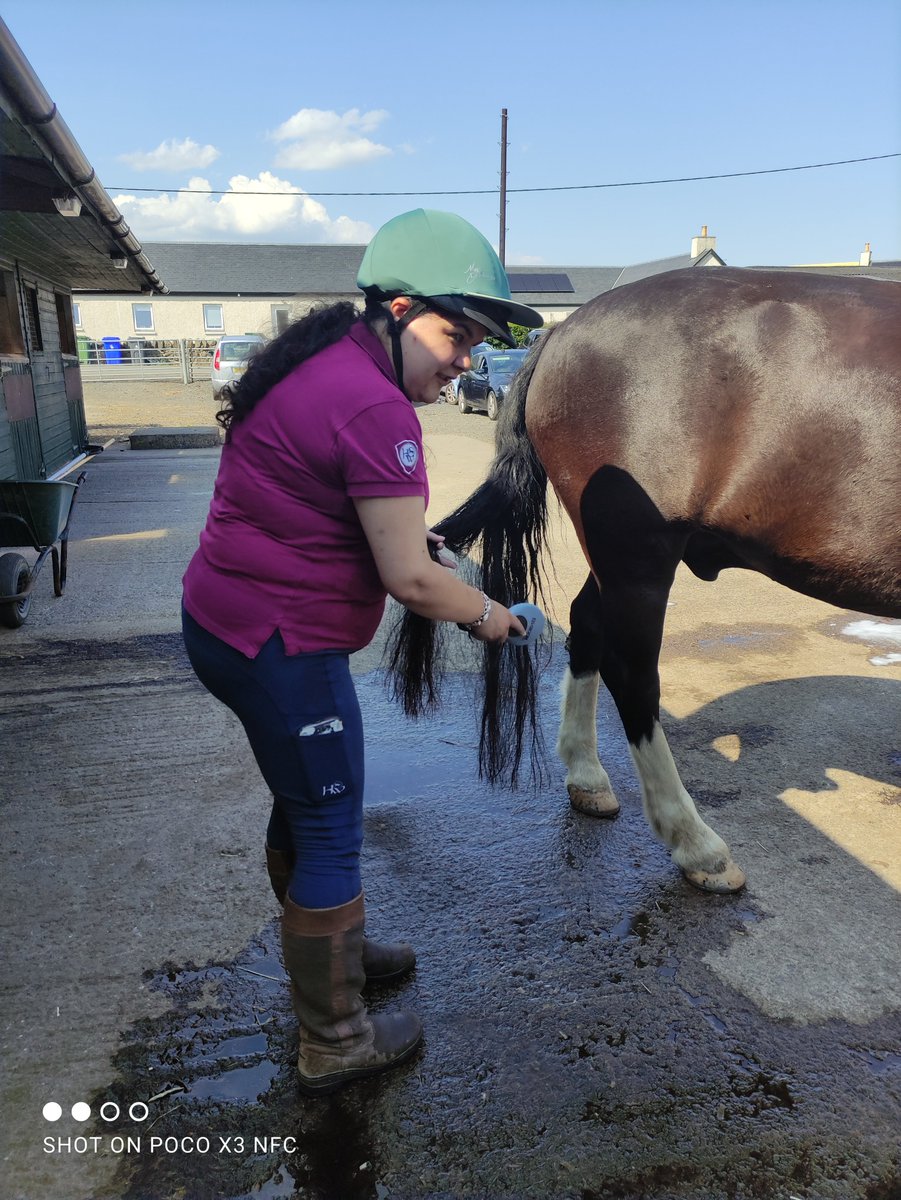 Equipower15's tweet photo. Friday fun in the sun🌞
Tail-washing &amp; horsey hair-dos at Horse Care Cub. 
Fantastic riding and dressage test practice.
All in an afternoon's work here at Equi-Power😊 https://t.co/MgcFL53jVT