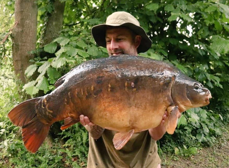 MainlineBaits's tweet photo. After seeing a group of better fish in the margin Jim Chisnall decided a margin attack was in order, so he lowered a rig into place and introduced 50 halved Activ-8 boilies on top of it. At first light, the rod was away with this stunner. 

#mainlinebaits #carpfising https://t.co/4pNiwR79Z3