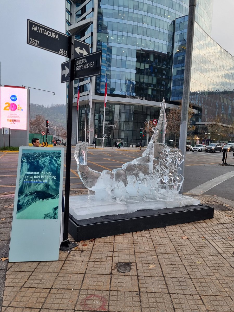 karlaluzrm's tweet photo. Excelente iniciativa para crear conciencia sobre la protección de la Antártica y las especies que la habitan. Como el krill, estas son fundamentales para la vida #ProtectAntartica #Krill @Karenrauchm https://t.co/L9E1oJRUvL