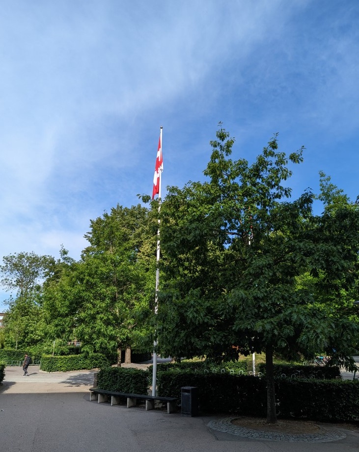 Erik Scheme tweet media