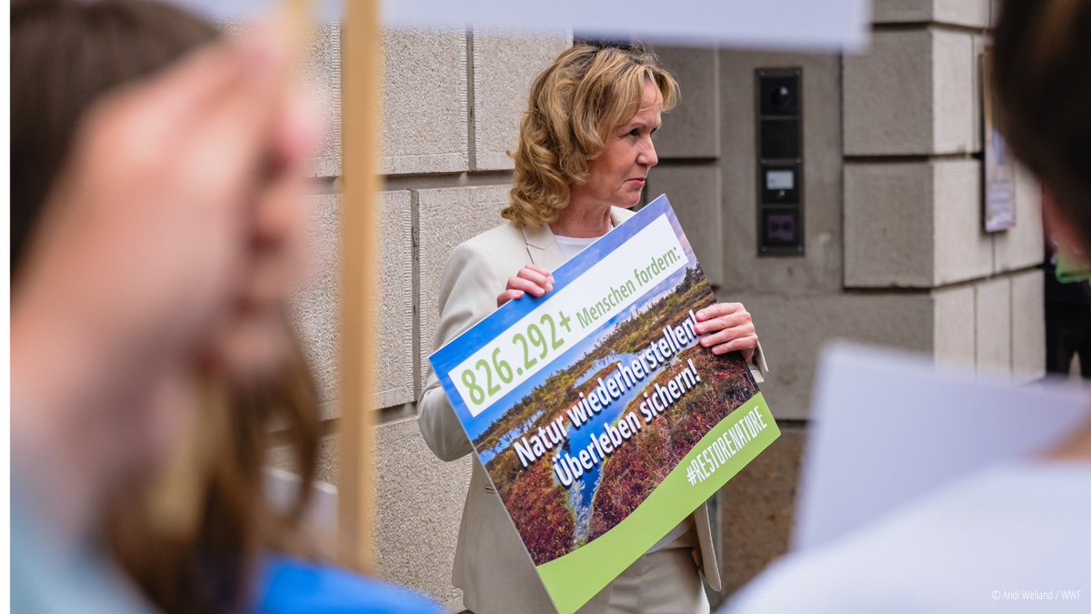 WWF_Deutschland's tweet photo. Natur wiederherstellen! Überleben sichern! 

Zusammen mit @NABU_de und @Umwelthilfe konnten wir heute in Berlin eure Unterschriften❤️für das #RestoreNature-Gesetz an Bundesumweltministerin @SteffiLemke überreichen. https://t.co/0OxxKJeDOD