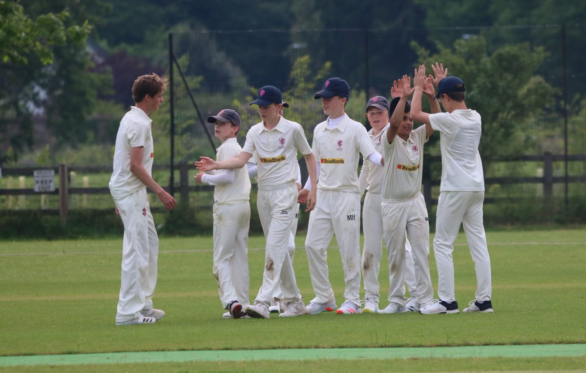 Somerset CCC Boys Pathway tweet media