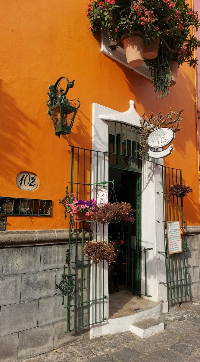 priesca🇲🇽🇨🇴🇪🇦🇩🇪🇮🇹 tweet media