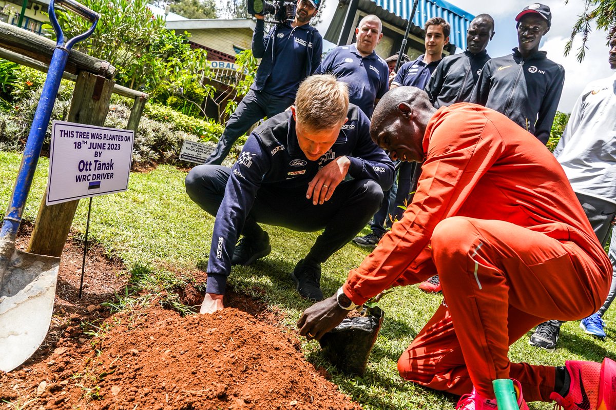 OfficialWRC's tweet photo. .@MSportLtd had a very special Sunday when they joined forces with renowned marathon world-record holder @EliudKipchoge for a remarkable run ahead of @wrcsafarirally 🇰🇪 Read more on https://t.co/fD9Uk52vV4 now! https://t.co/lEaiv8PAe8